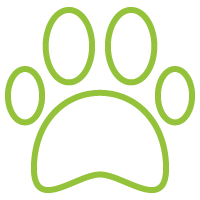 مساحة مخصصة للحيوانات الاليفة